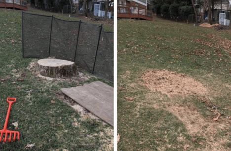 Screenshot 2026-01-15 at 12.21.14 PM